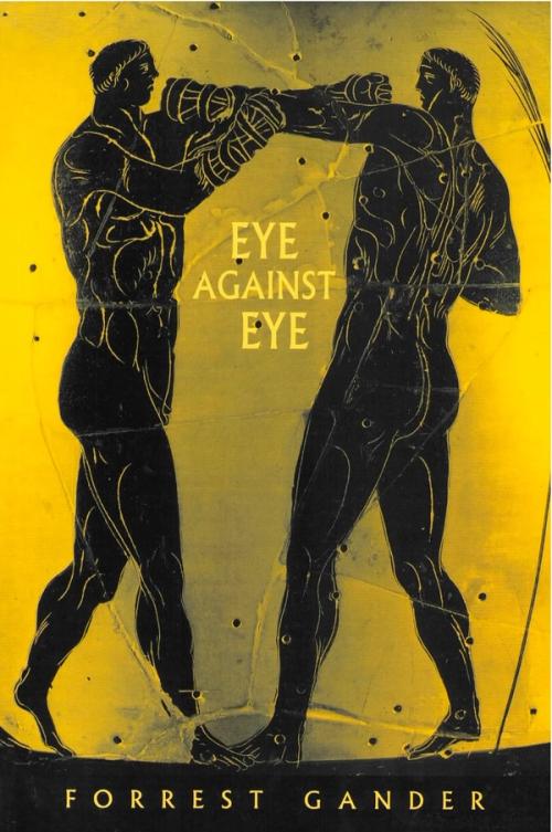 cover of the book Eye Against Eye