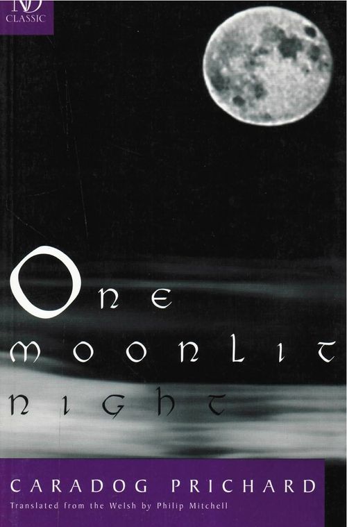 cover image of the book One Moonlit Night