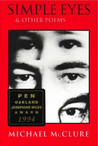 cover of the book Simple Eyes