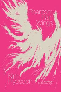 cover of the book Phantom Pain Wings