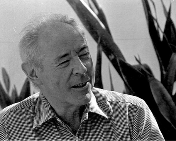 Portrait of Gregory Rabassa