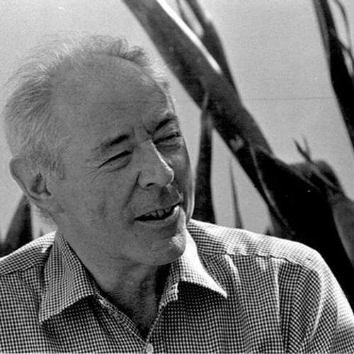 Portrait of Gregory Rabassa