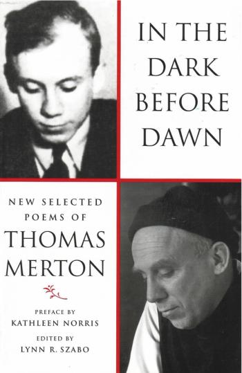 cover of the book In The Dark Before Dawn