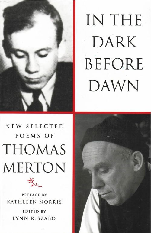 cover image of the book In The Dark Before Dawn