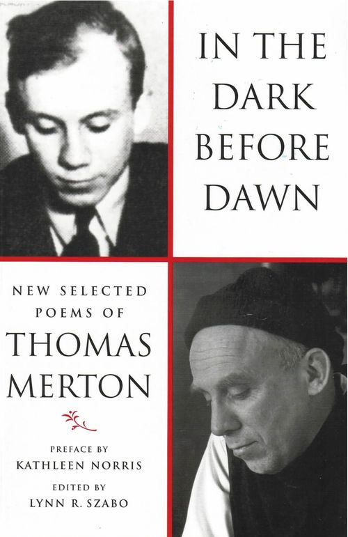 cover of the book In The Dark Before Dawn