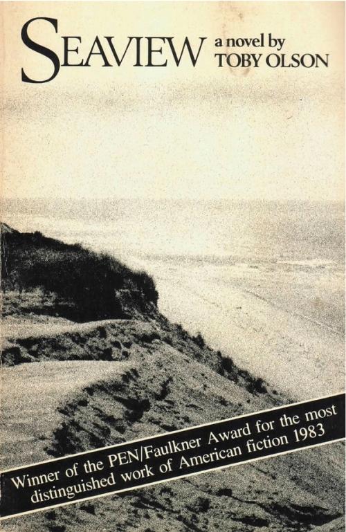cover image of the book Seaview