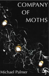 cover of the book The Company Of Moths