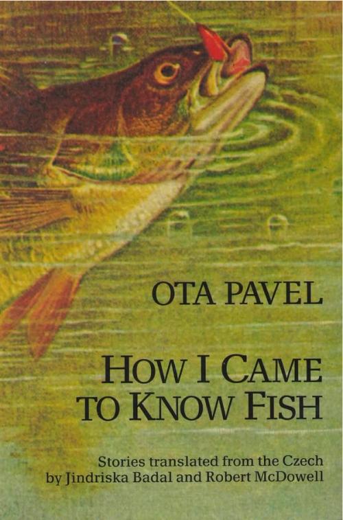 cover of the book How I Came to Know Fish