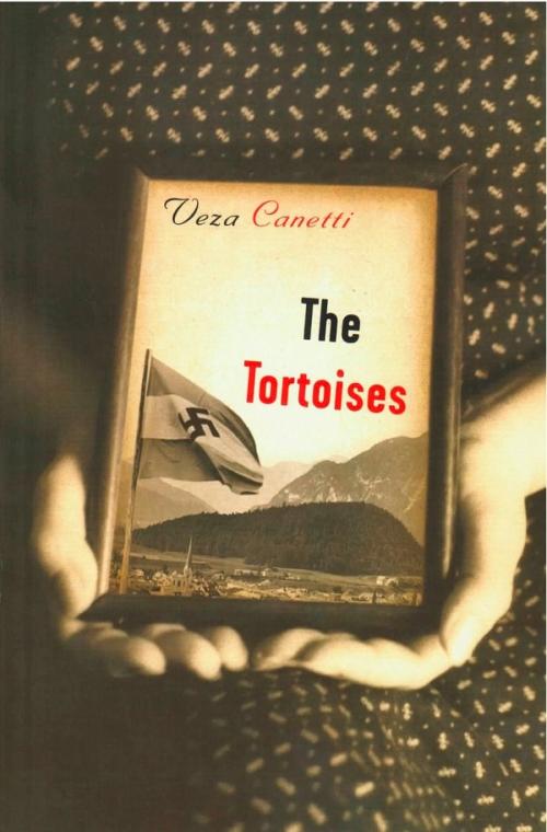 cover image of the book The Tortoises