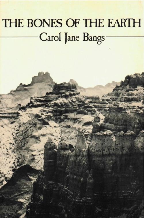 cover of the book The Bones Of The Earth