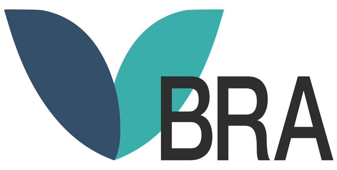 VBRA AS Logo