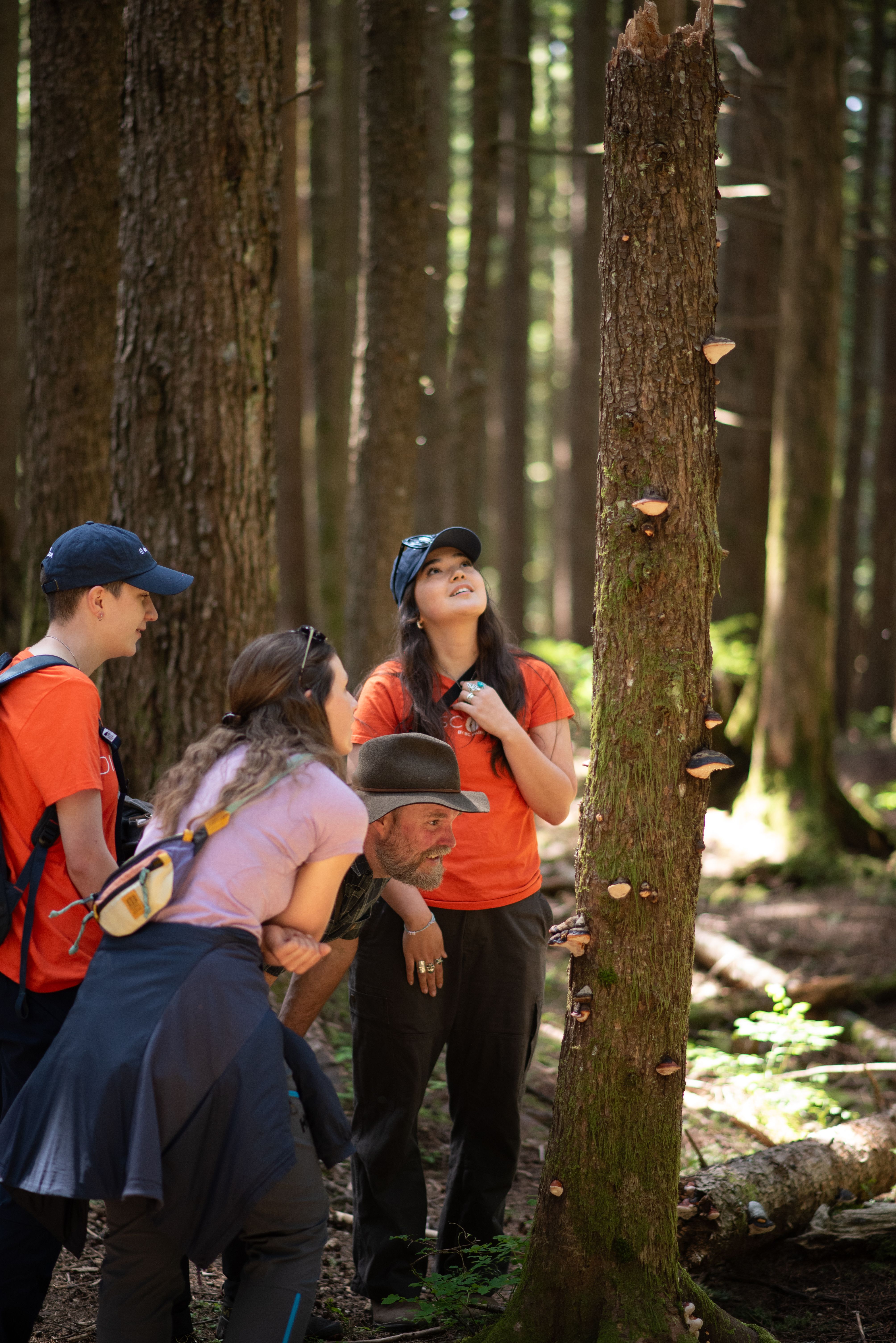 Discover Parks Ambassadors look at a tree with park visitors.