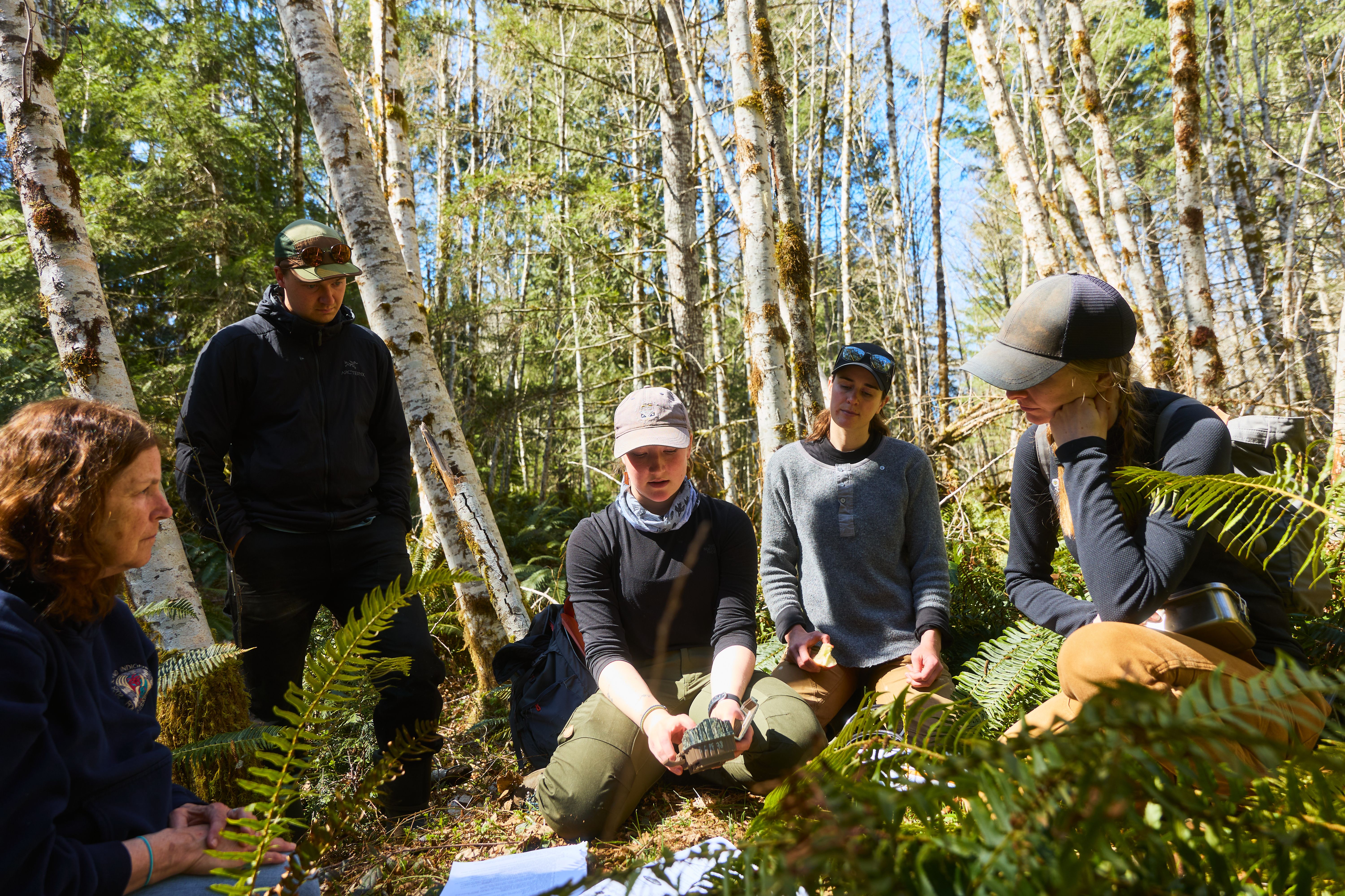 Five people gathered to work on planting a tree and setting up wildlife cameras