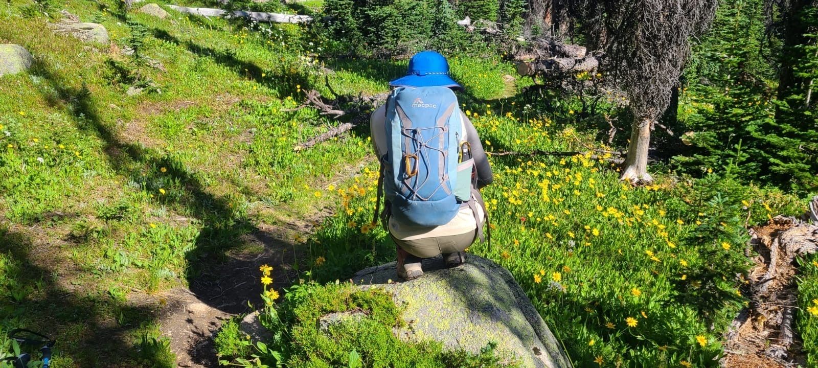 Dr. Tse-Lynn Loh, studying wildflowers in Cathedral Provincial Park.