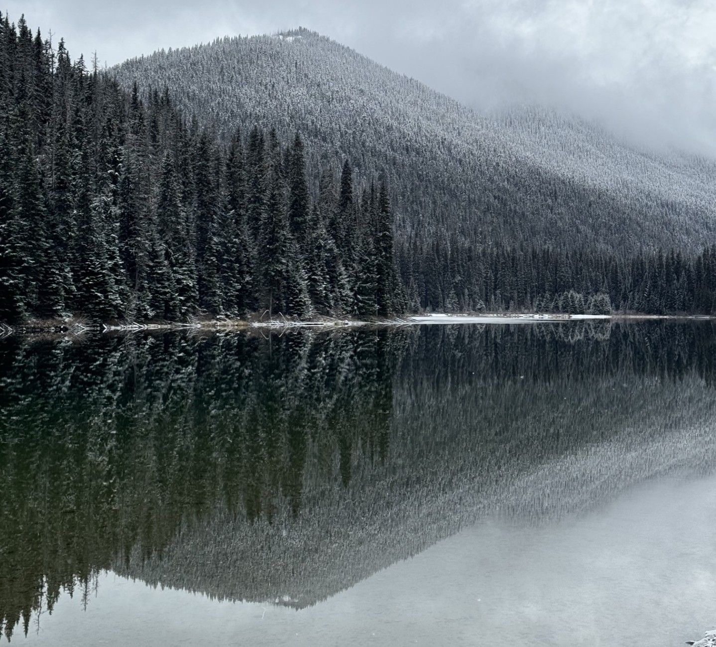 Winter views from Lightning Lake Loop in EC Manning Park.