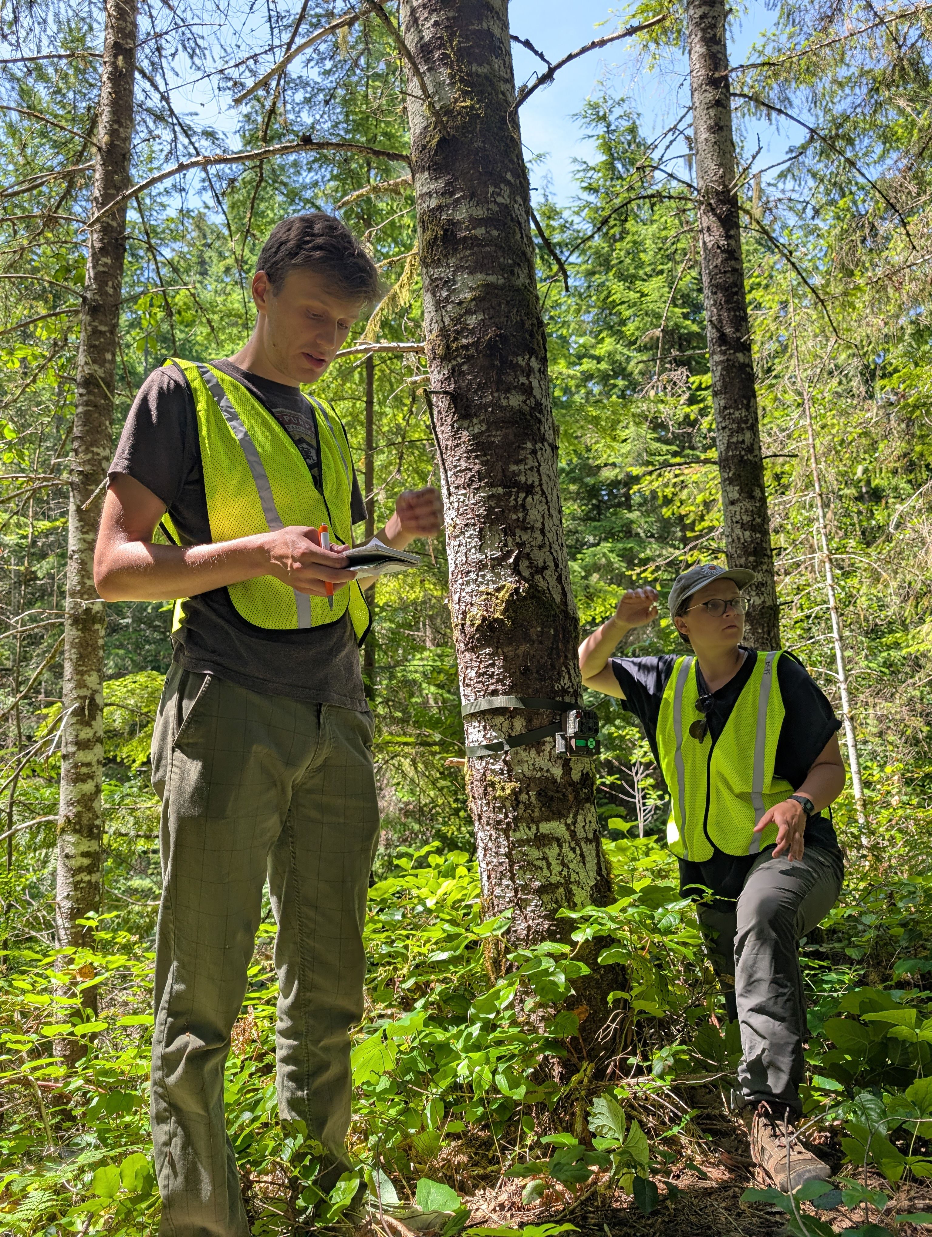 Jesse and Maddie check camera sight to ensure optimal positioning for capturing remote footage of the area’s wildlife. Documenting wildlife presence helps build a baseline for monitoring species use of the area over time.
