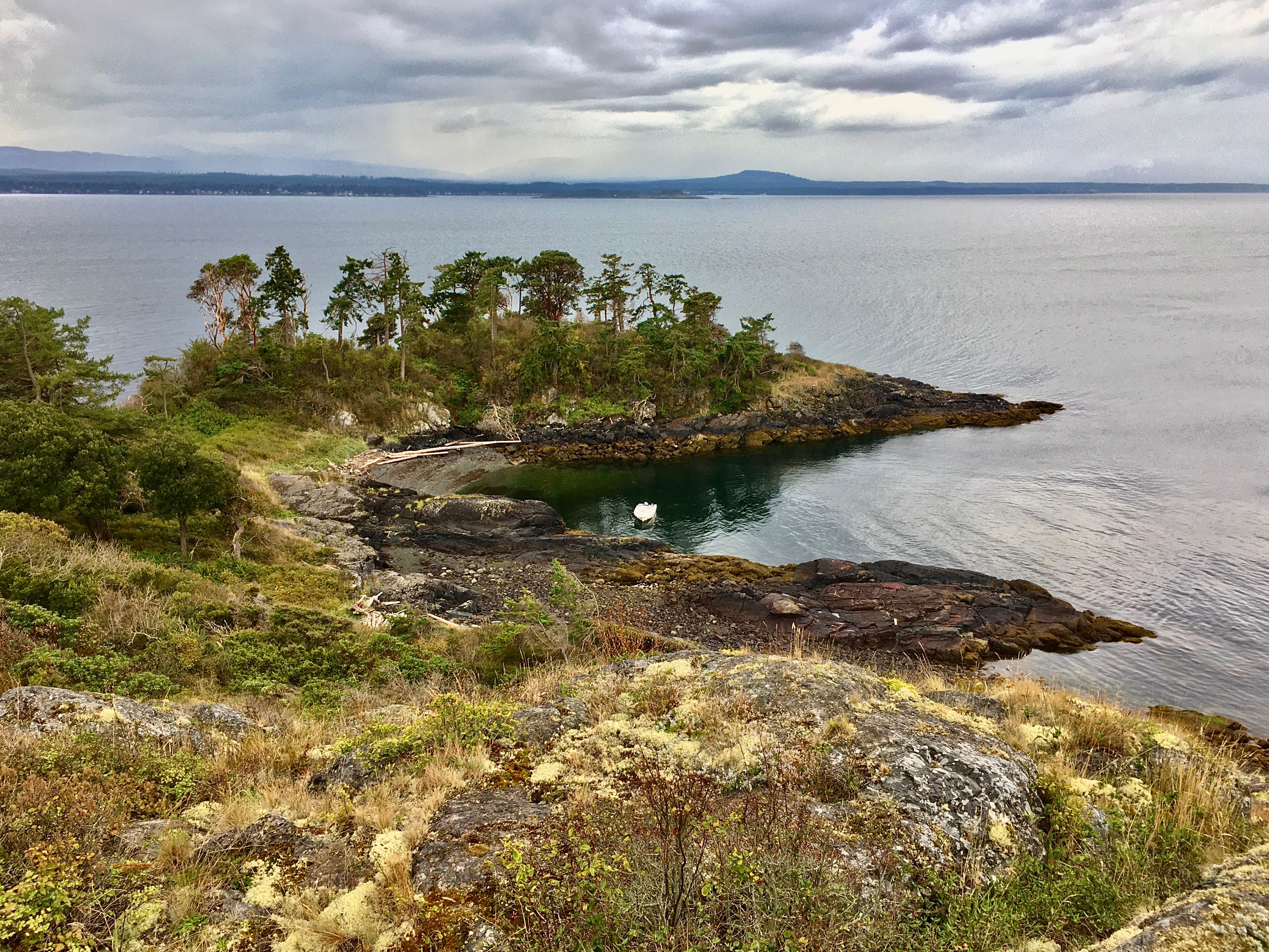 Coastline of West Ballenas Island