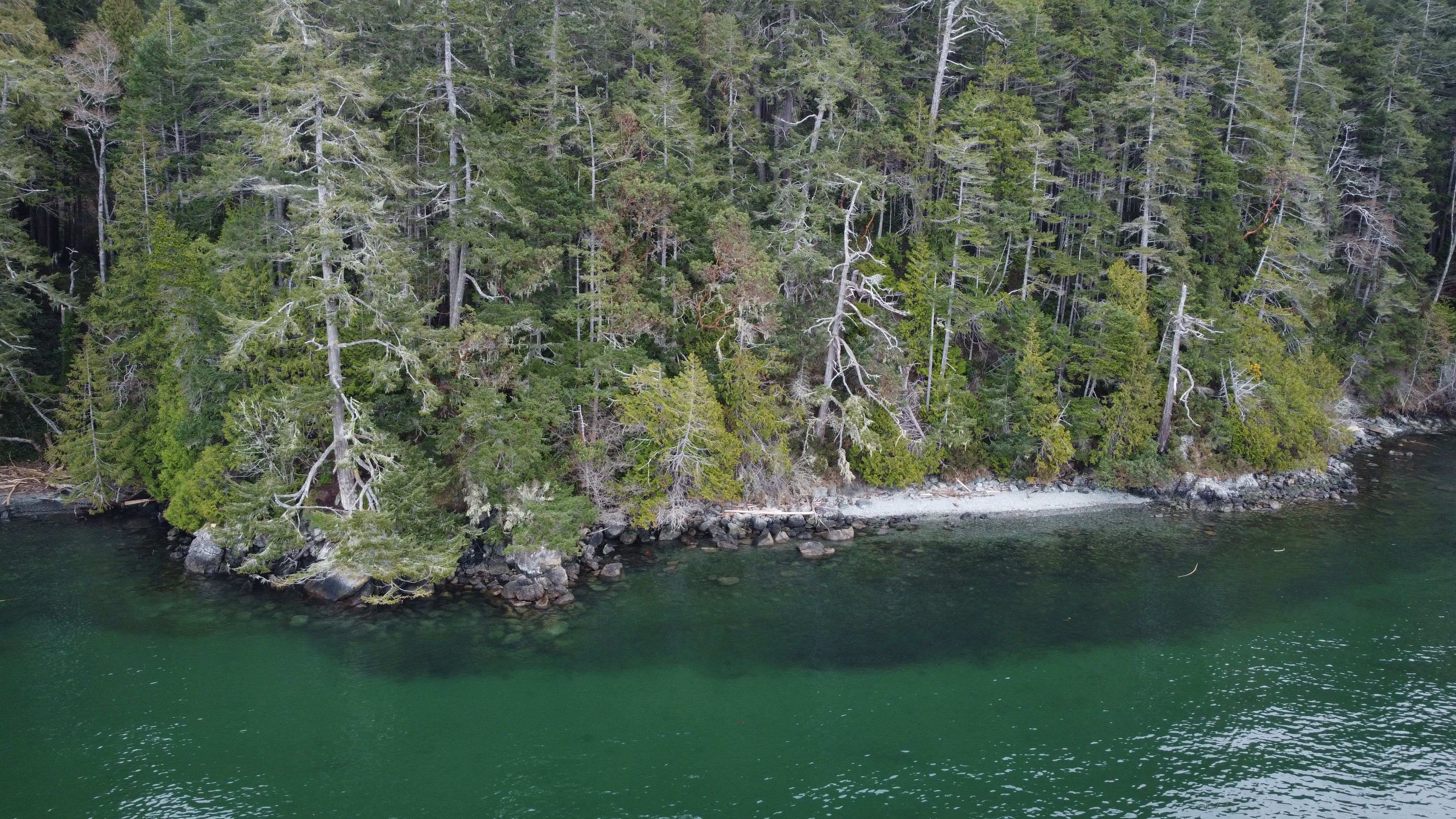 Waterfront with trees