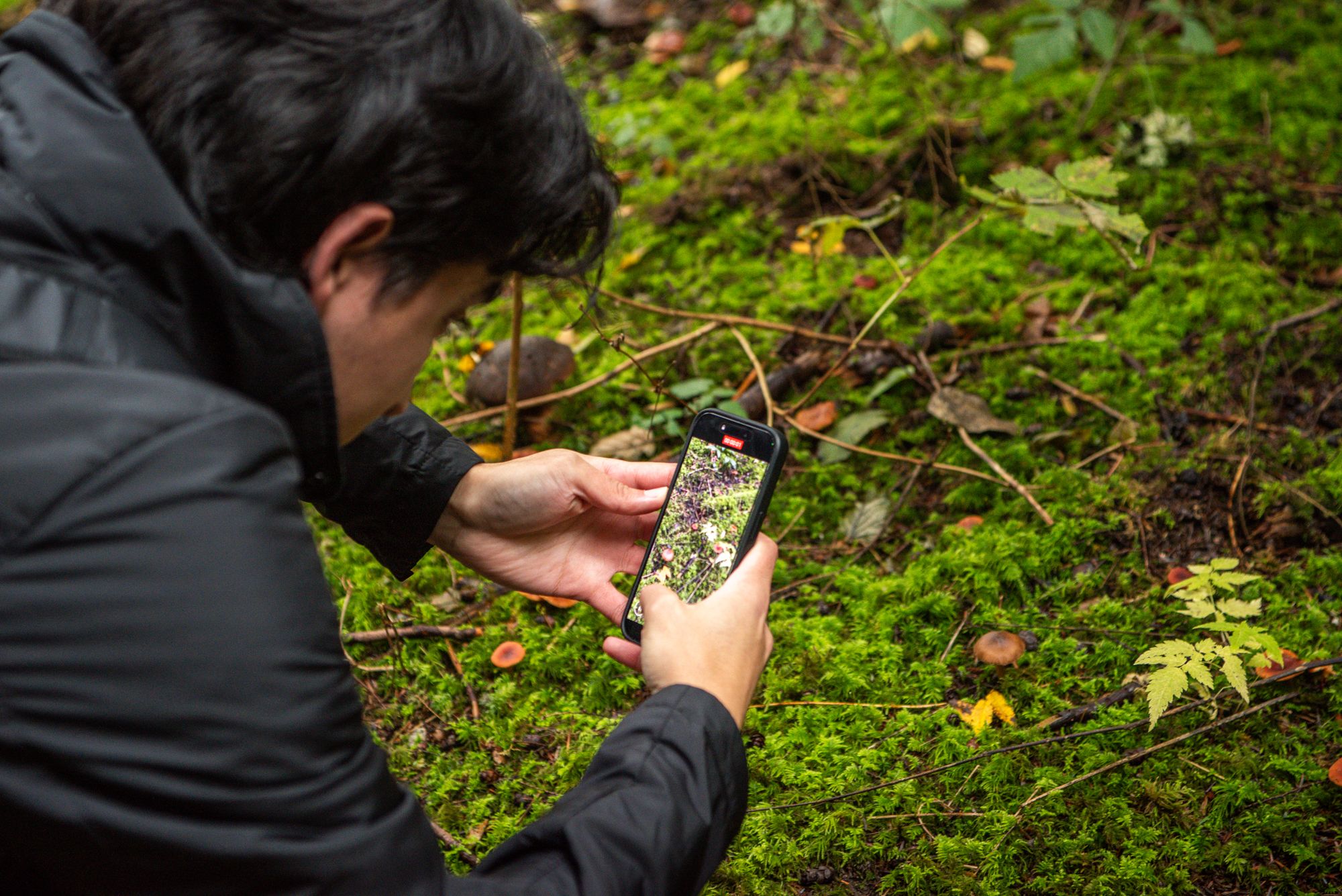Person takes photos of fungi on ground