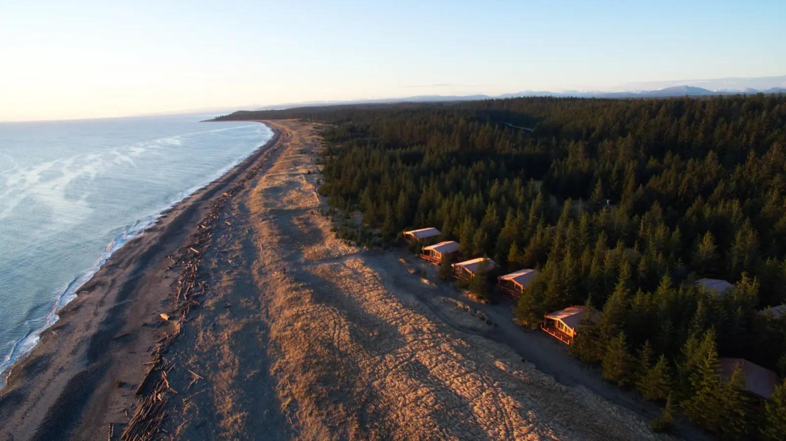Image of sandy shoreline, with trees and cabins overlooking the ocean