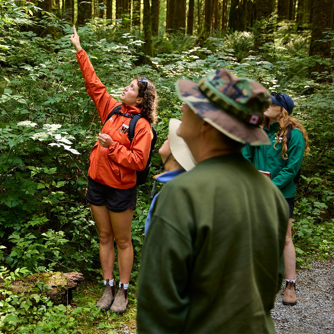 A Discover Parks Ambassador points something in nature out to park visitors