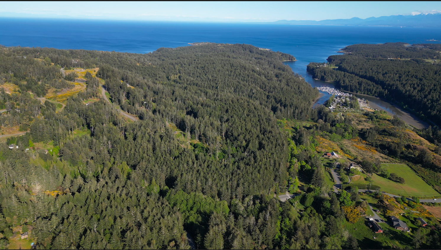 An aerial shot of forest and waterfront