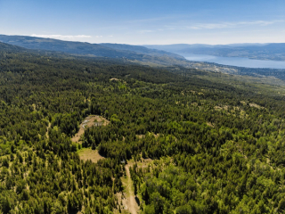 Forest at Myra–Bellevue Park