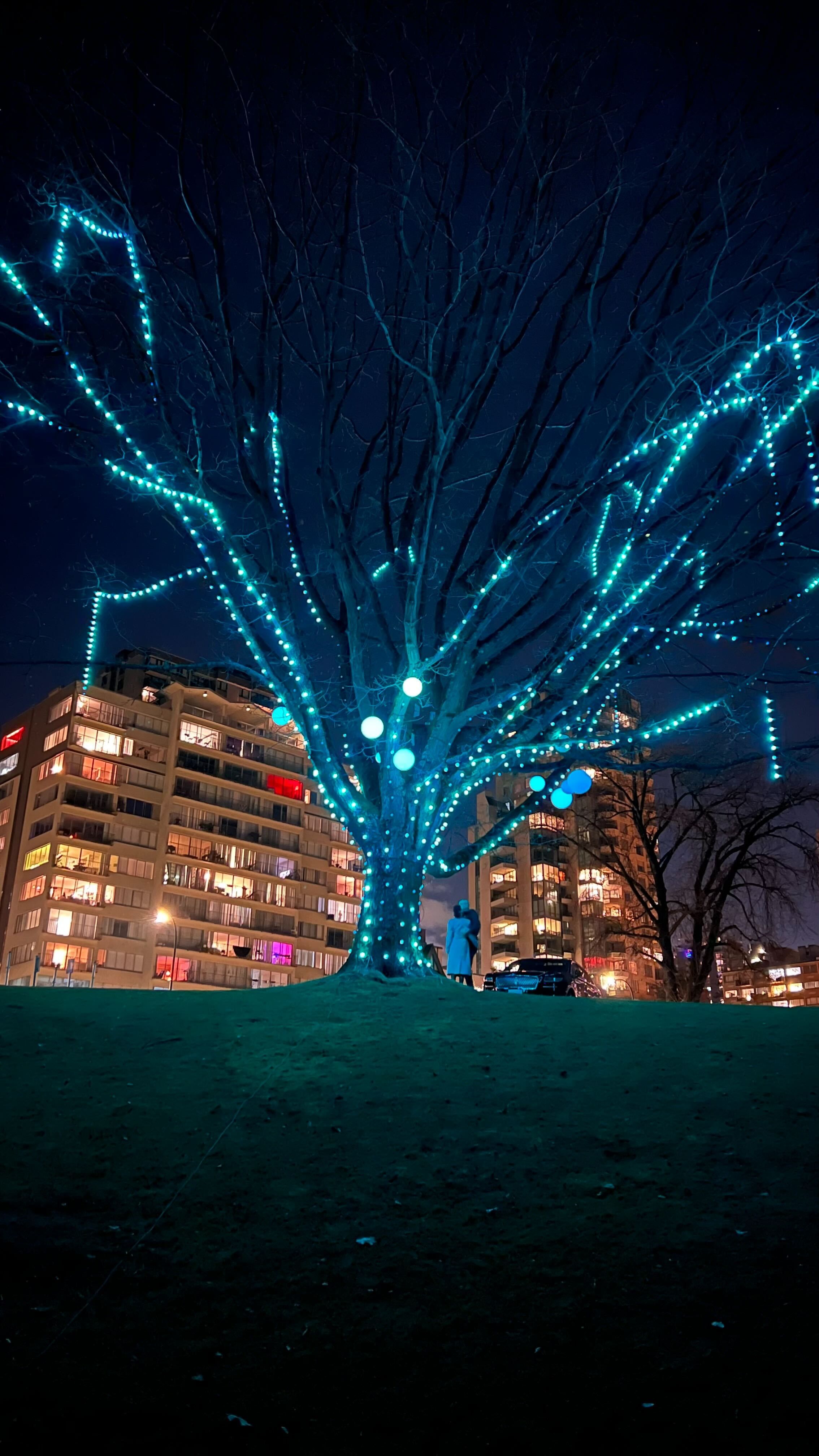 A large tree covered in festive lights