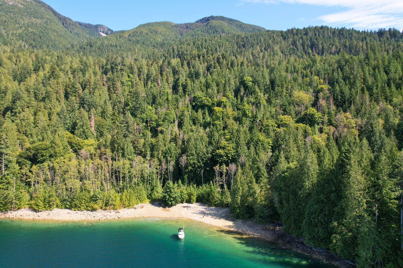 An aerial shot of a sunny inlet, a small beach surrounded by heavy forest