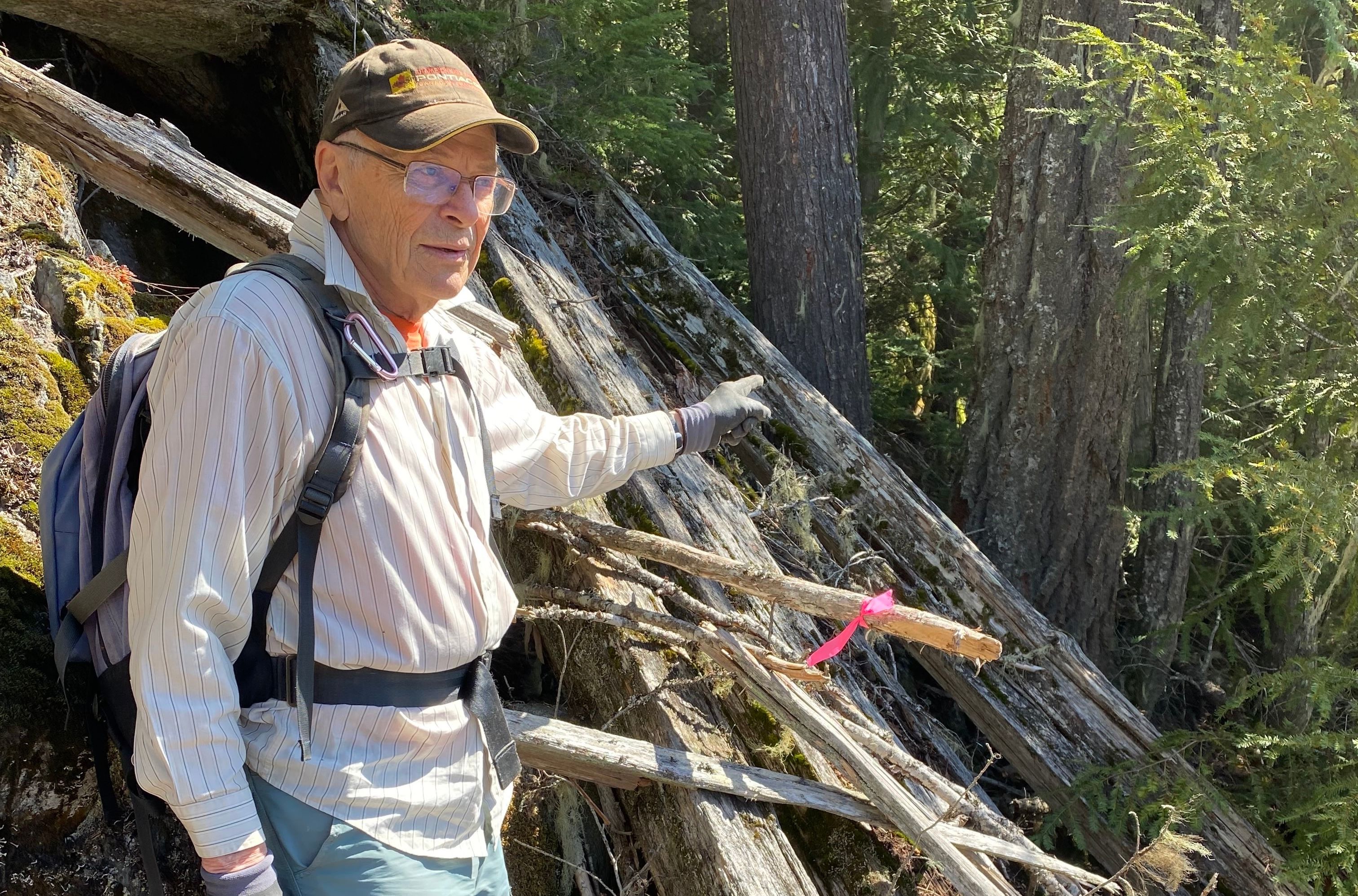 Person hiking through a forested trail area, pointing toward fallen logs and old-growth trees.