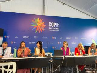 Group of people sit at COP16 panel discussion