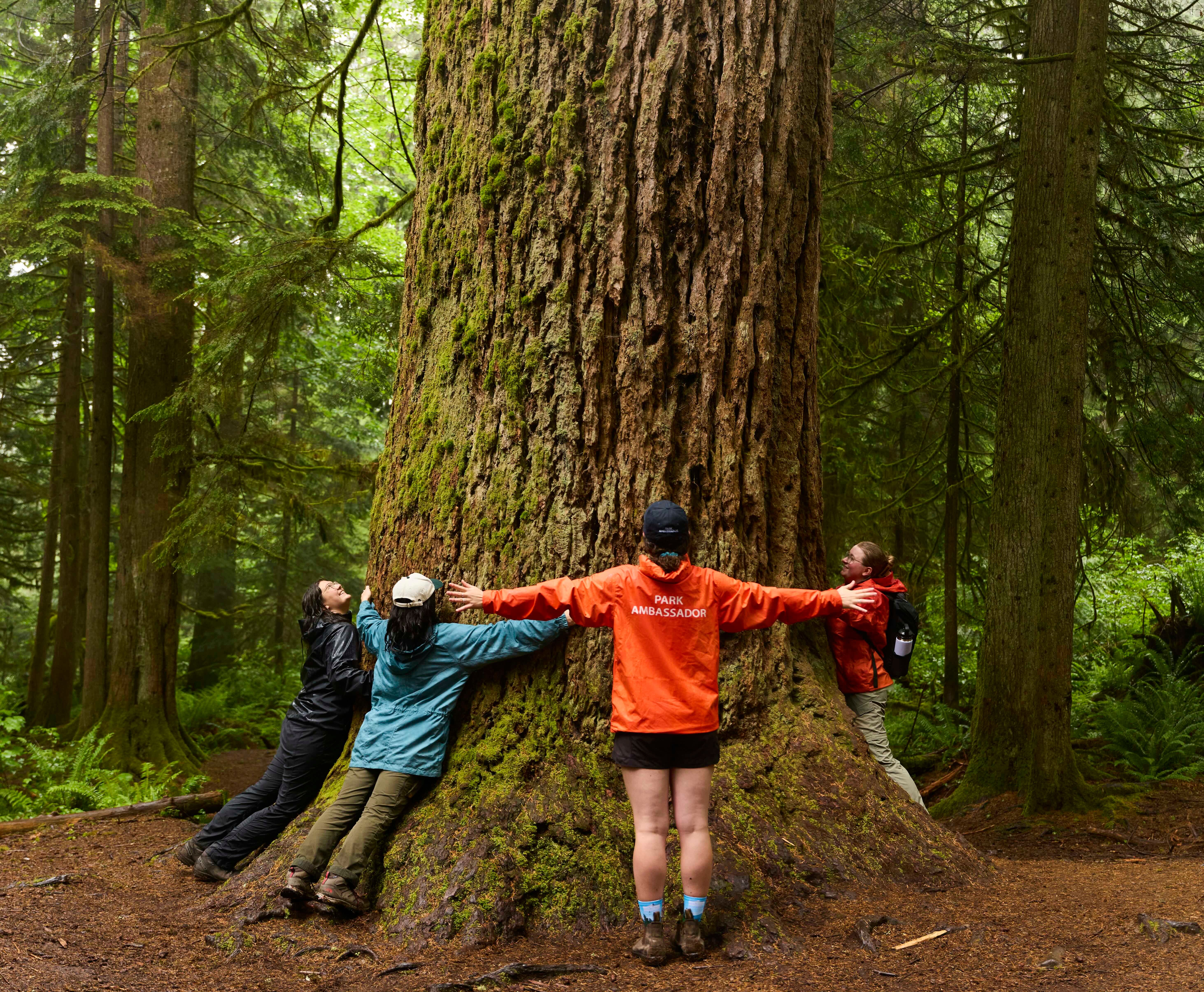 Visitors to a park and a Discover Parks Ambassador hug a tree