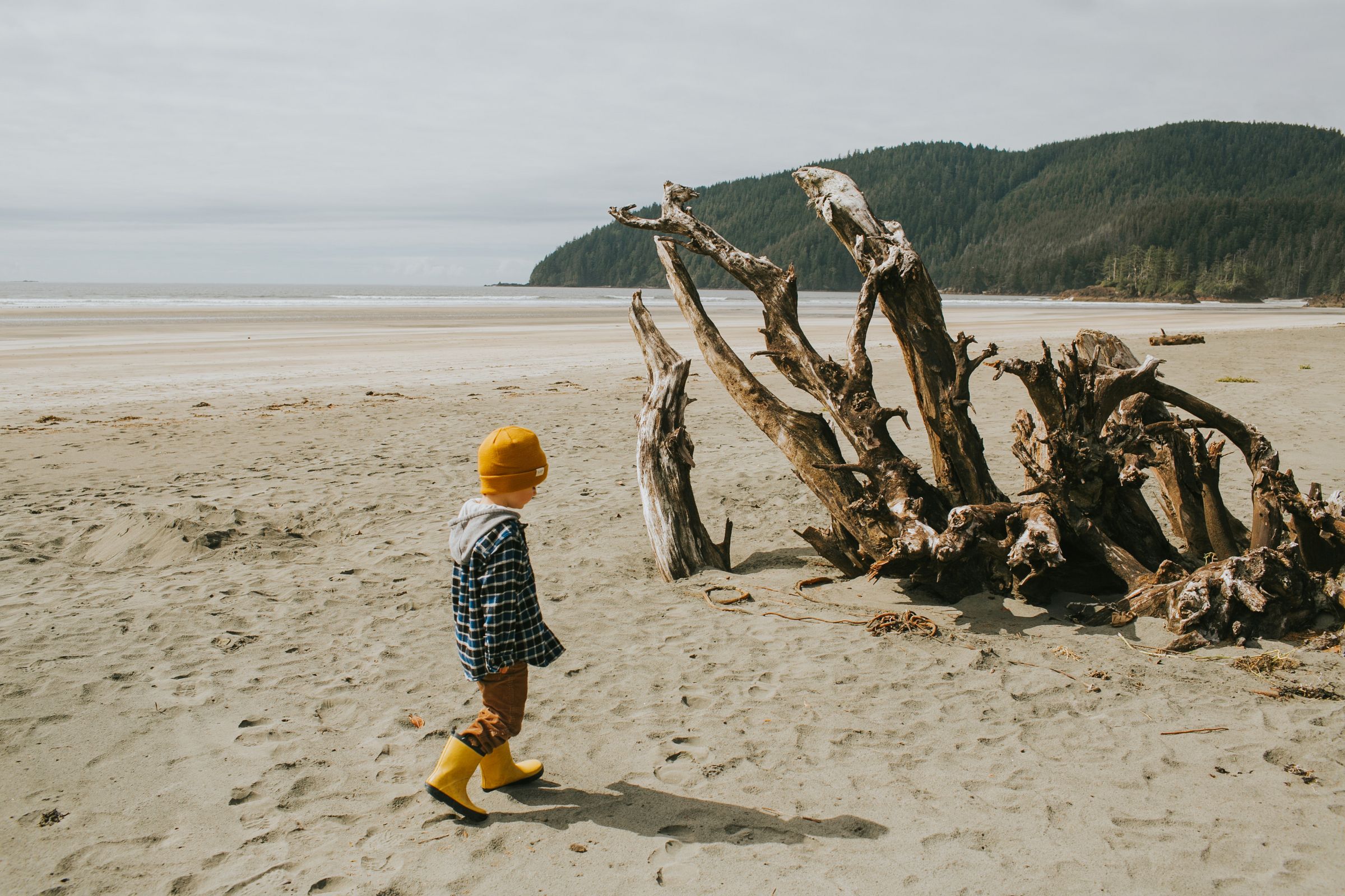 A child beachcombing at San Josef Bay in Cape Scott Provincial Park