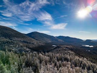 Picture of forest and mountains on a clear sunny day