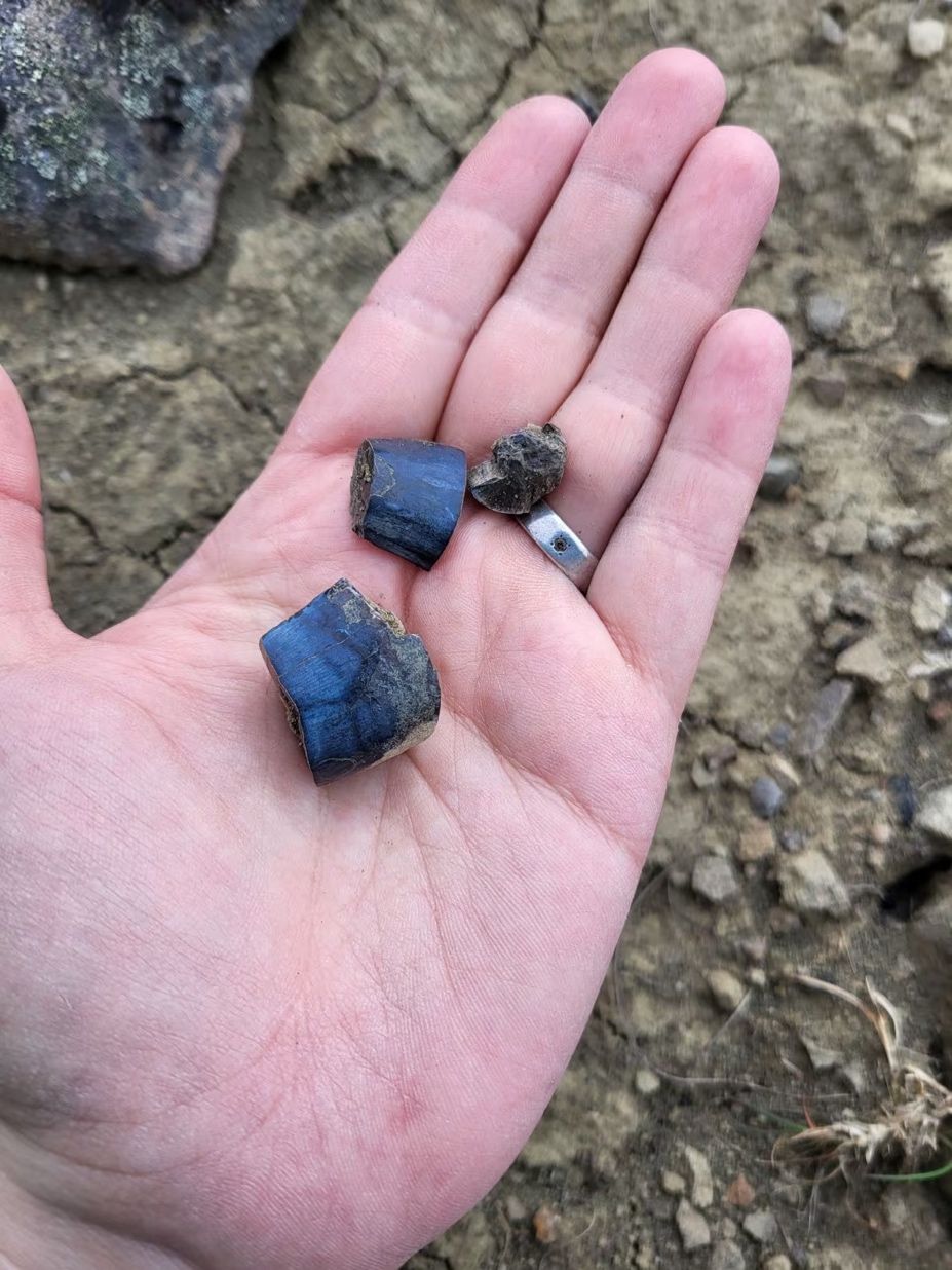 Fossils in hand