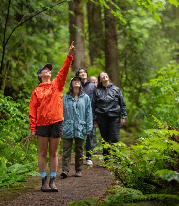A Discover Parks Ambassador points something out to park visitors