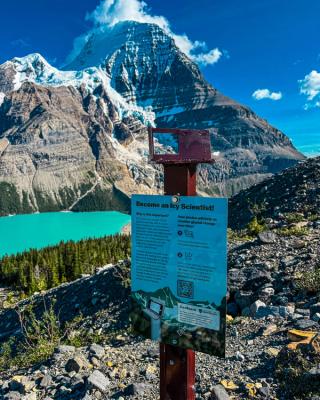 Icy stand at Mount Robson Park