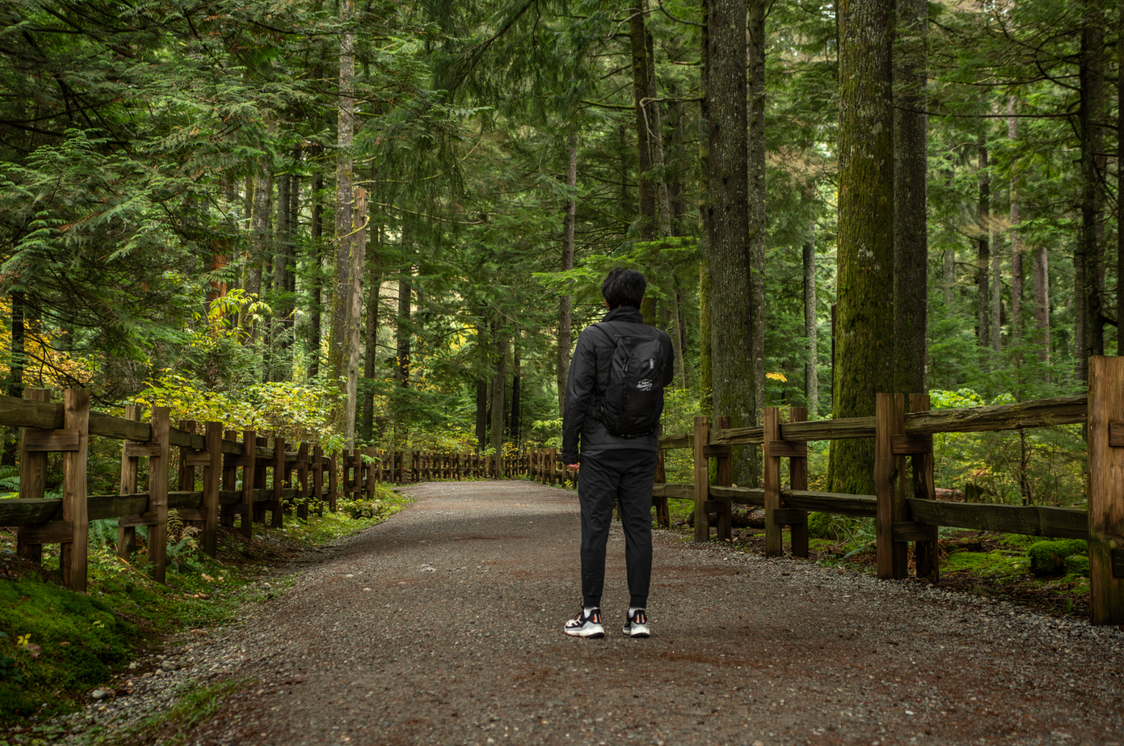 Man stands in park on trail