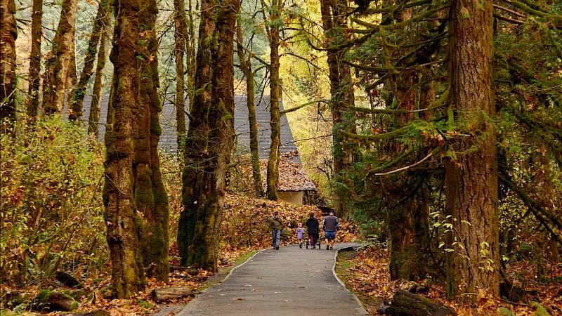 Path in Goldstream Park
