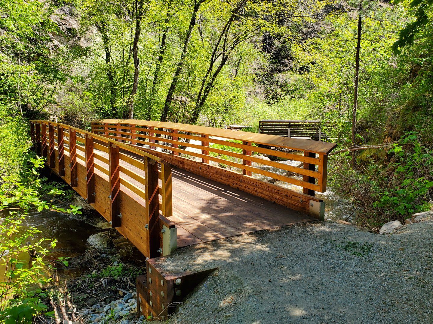 A newly built bridge in a forest trail shines in the sunlight