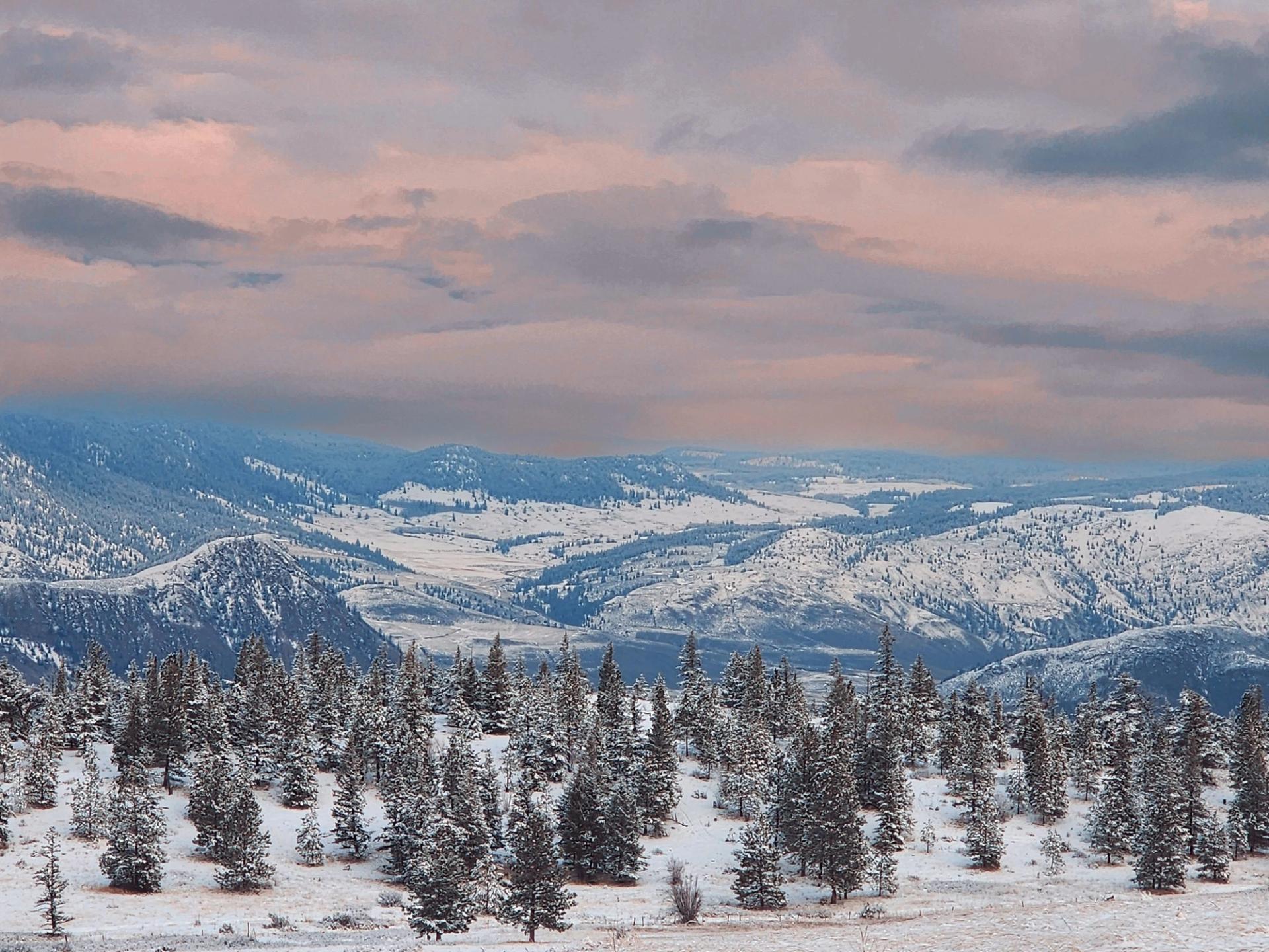 Juniper Ridge Ranch Juniper Ridge | BC Parks Foundation