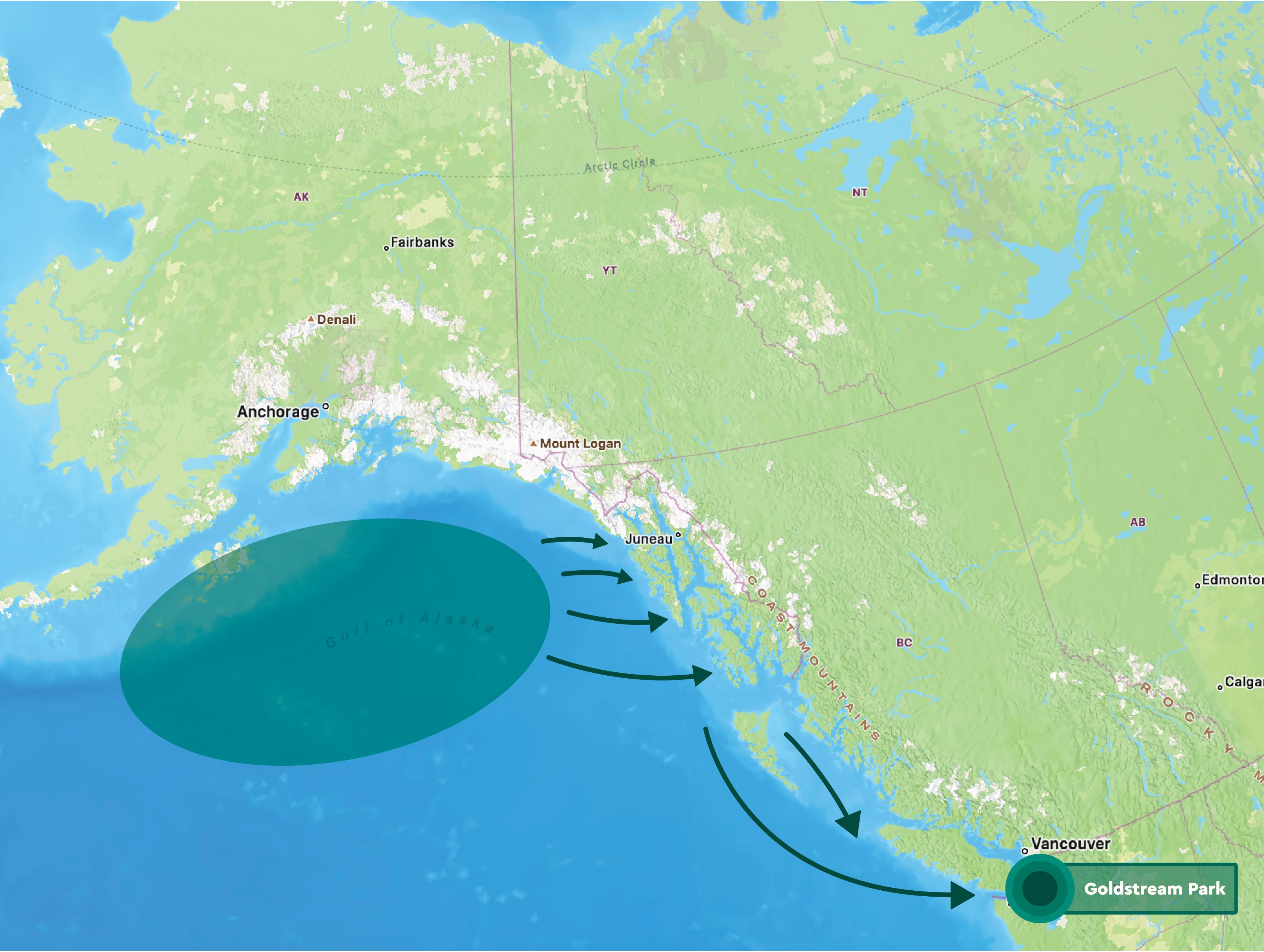 Map of salmon journey to Goldstream Park