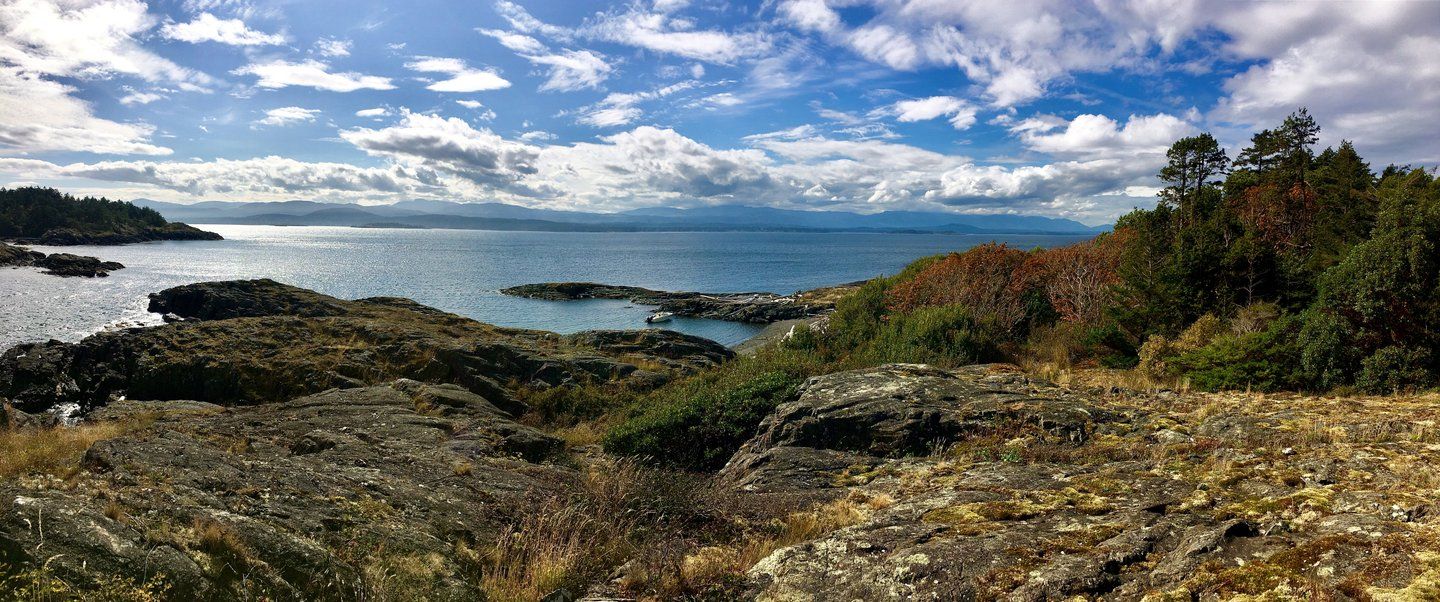 A wide lense of a rocky shoreline with shrubs, clouds and blue skies in shot