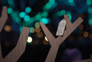 A wish made hangs from a tree