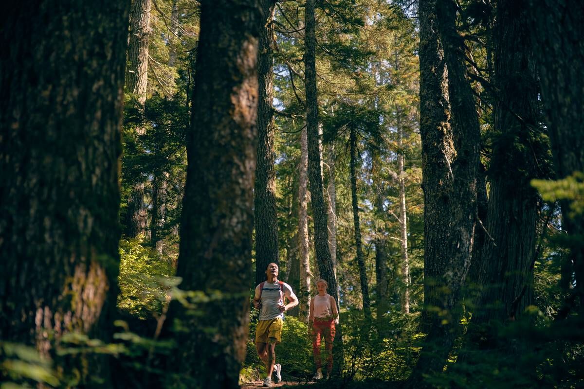 Two people jogging on a trail through a dense forest.
