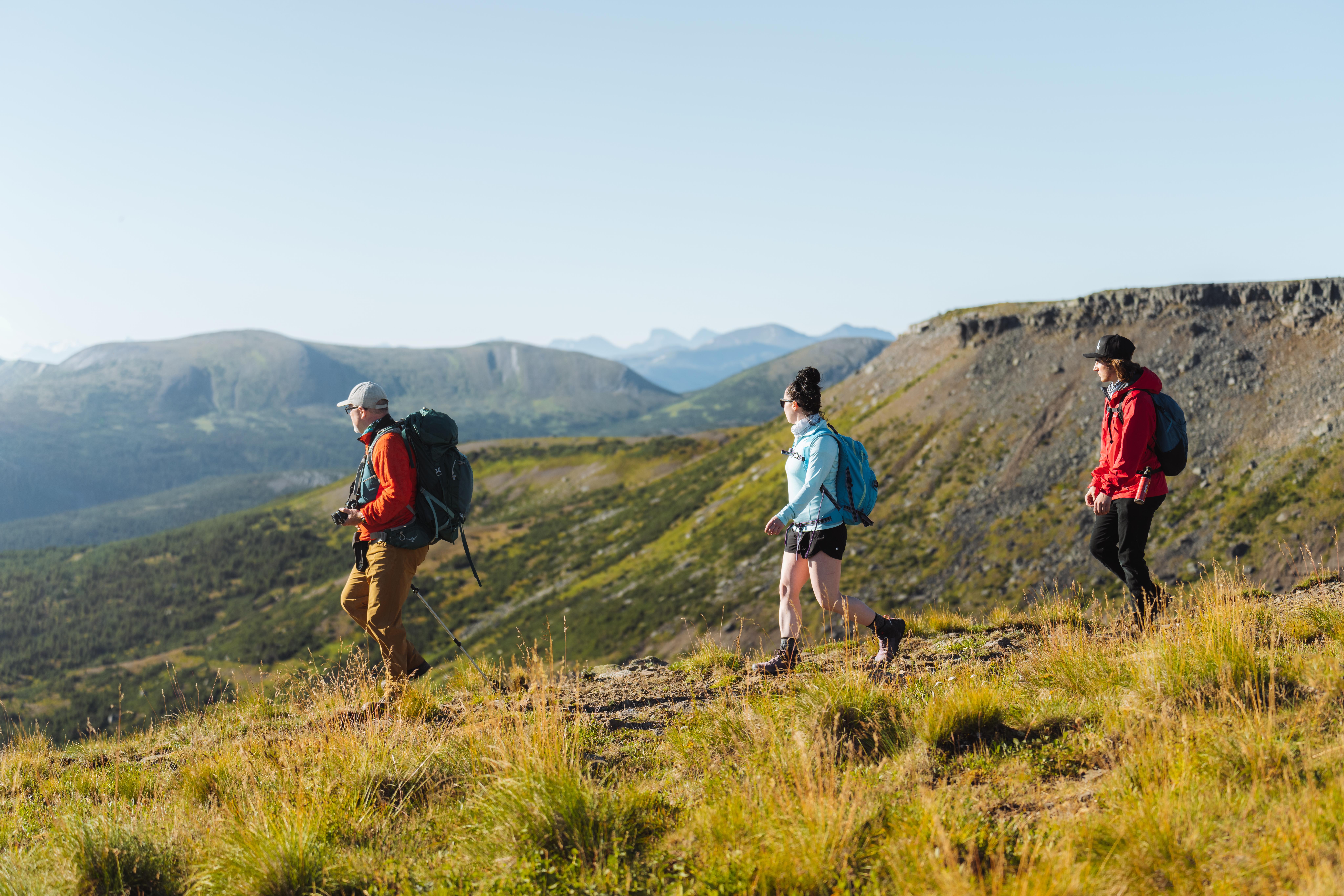 A group of hikers walk across a hillside in the sunshine