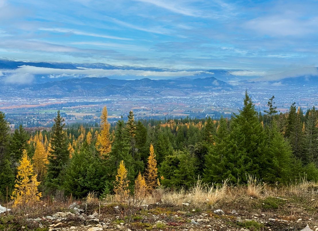 View of a valley town with trees in the foreground and mountains in the distance