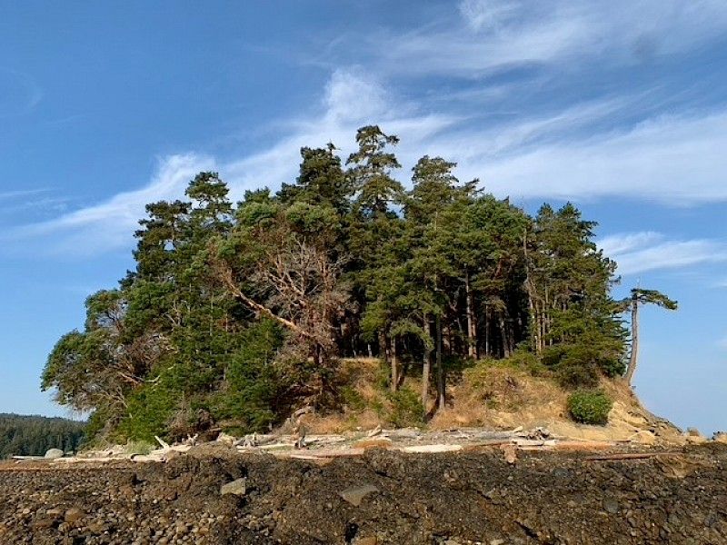 Marine Island