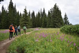 A Discover Parks Ambassador and participants enjoy a nature walk on Trophy Meadows Trail.