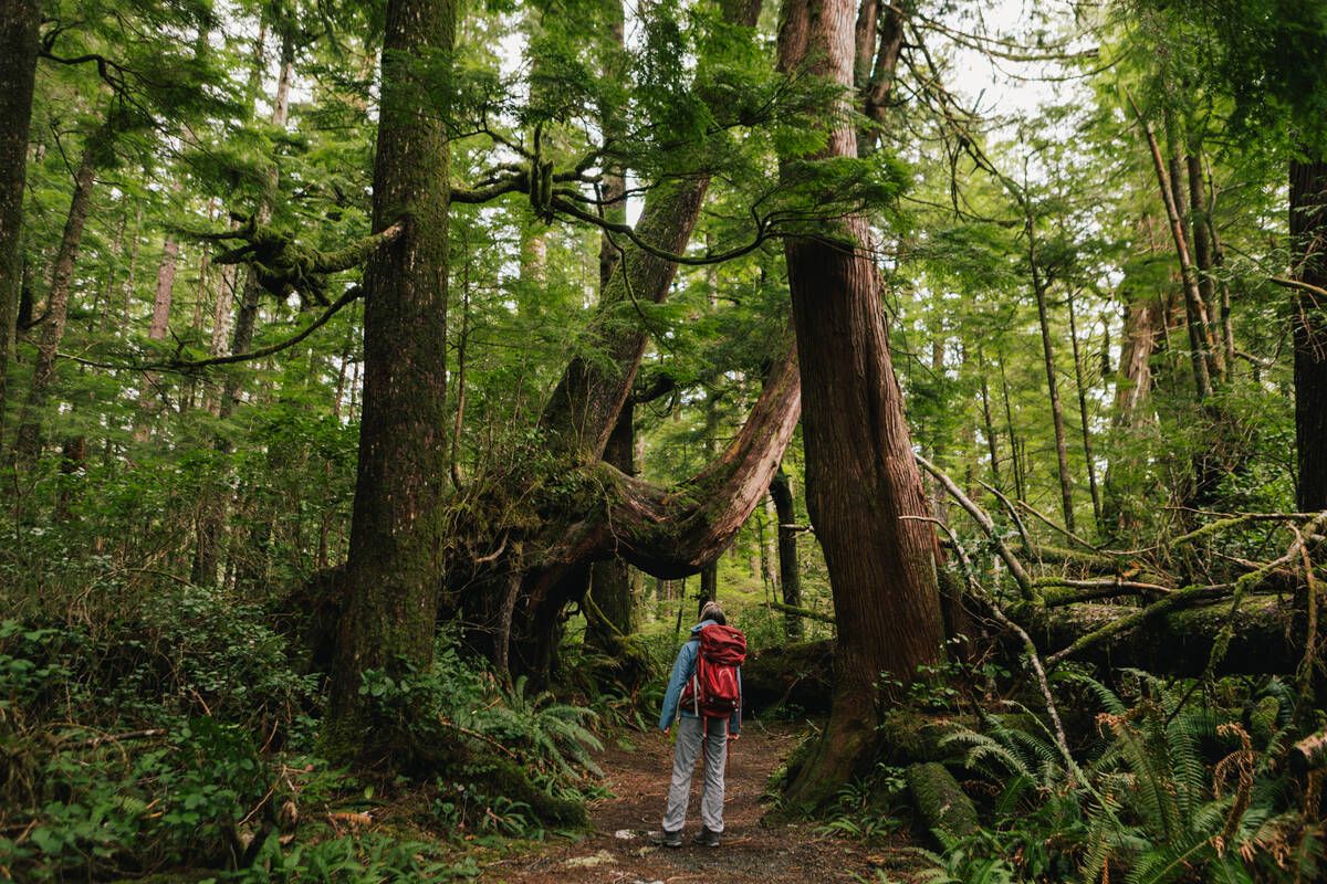 A woman on a trail in Cape Scott Park, Vancouver Island (Photo by Vancouver Island North Tourism, Jordan Dyck)